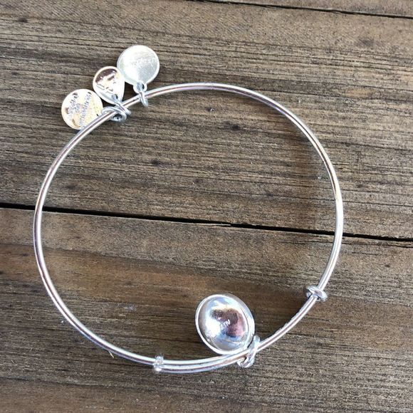 Alex and Ani Amethyst Birthstone Crystal Silver Adjustable Charm Bracelet! EUC - Picture 7 of 10